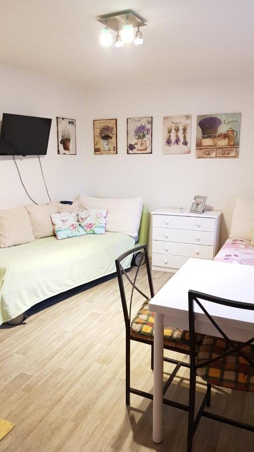 Appartement Dum V Podzamci à Mělník Extérieur photo